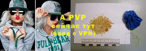 PSILOCYBIN Билибино