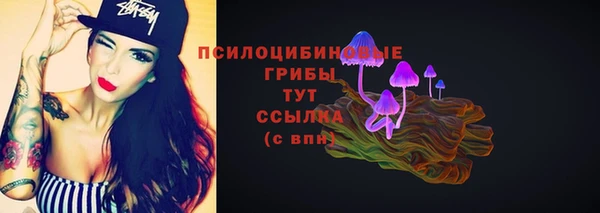 стафф Михайловск
