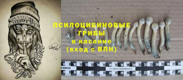 таблы Бикин