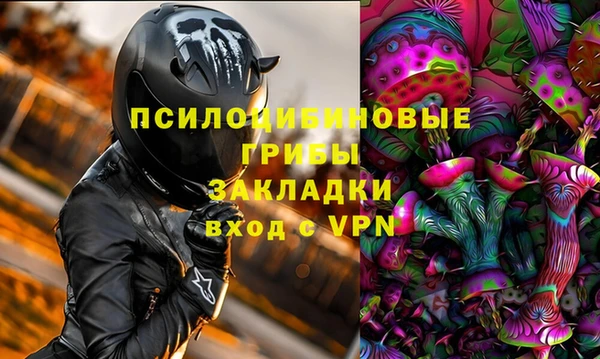 PSILOCYBIN Билибино