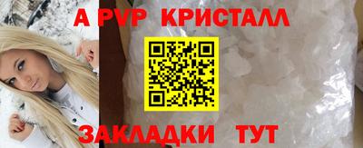 крисы Кунгур