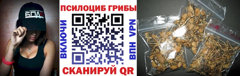 купить наркотики сайты  Троицк  Галлюциногенные грибы GOLDEN TEACHER 