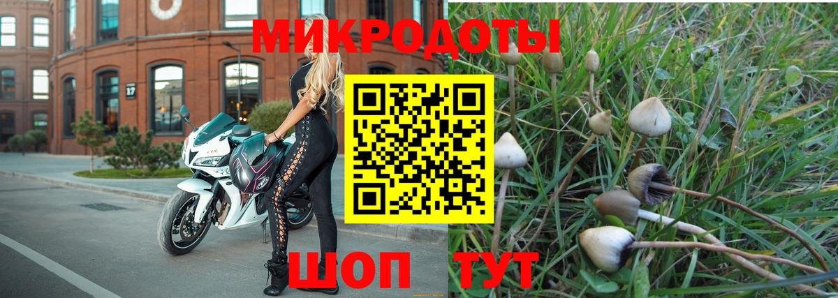 Галлюциногенные грибы мицелий Троицк