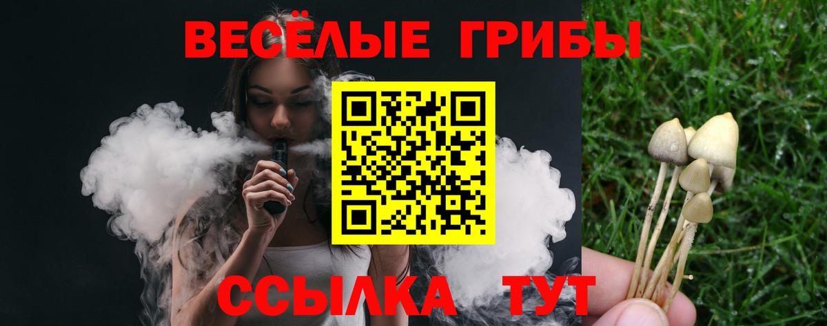 Псилоцибиновые грибы мухоморы  Вход с VPN  Троицк 